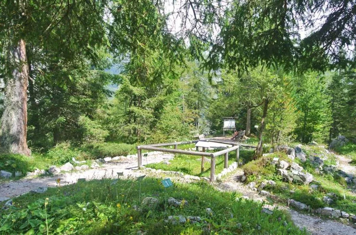 Giardino Botanico Alpino San Marco, Valli del Pasubio, Province of Vicenza, Italy, Italy